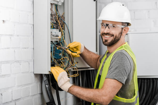 Best Electrical System Inspection  in Eureka, IL