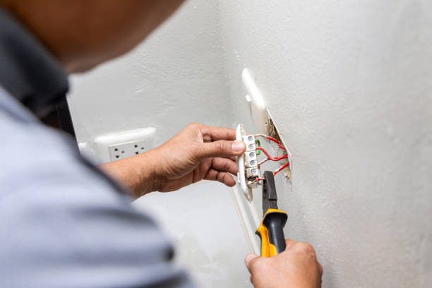 Best Electric Panel Repair  in Eureka, IL